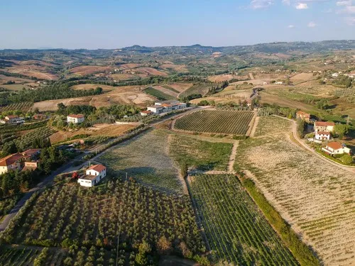 AGRICAMPING POGGIO AI PINI (WINE CAMPING) 7