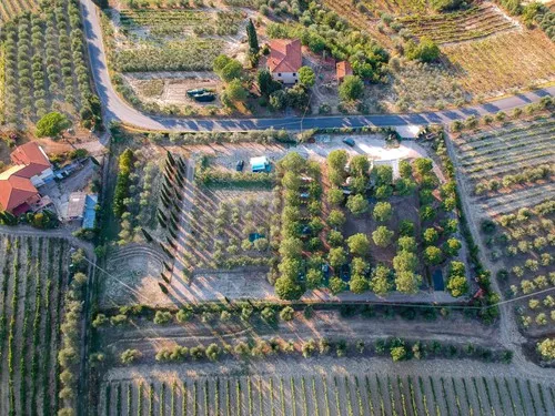 AGRICAMPING POGGIO AI PINI (WINE CAMPING) 5