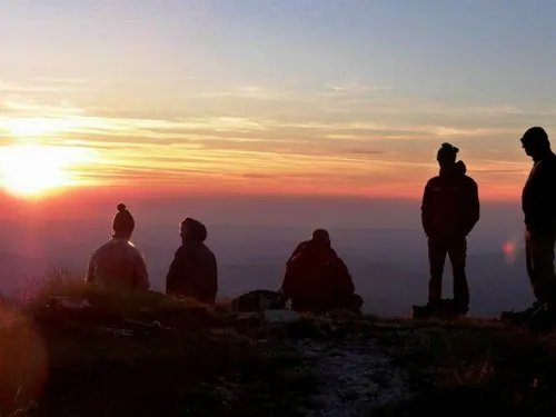 Agricamp Picobello 5