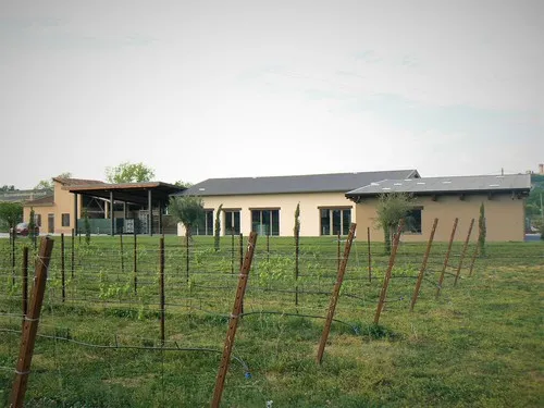 AGRICAMPEGGIO ORO VERDE 5