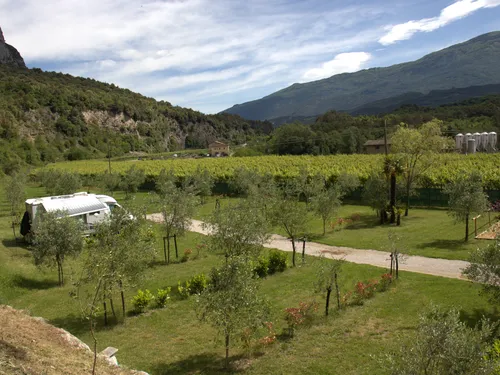 Agricampeggio Paolino 5