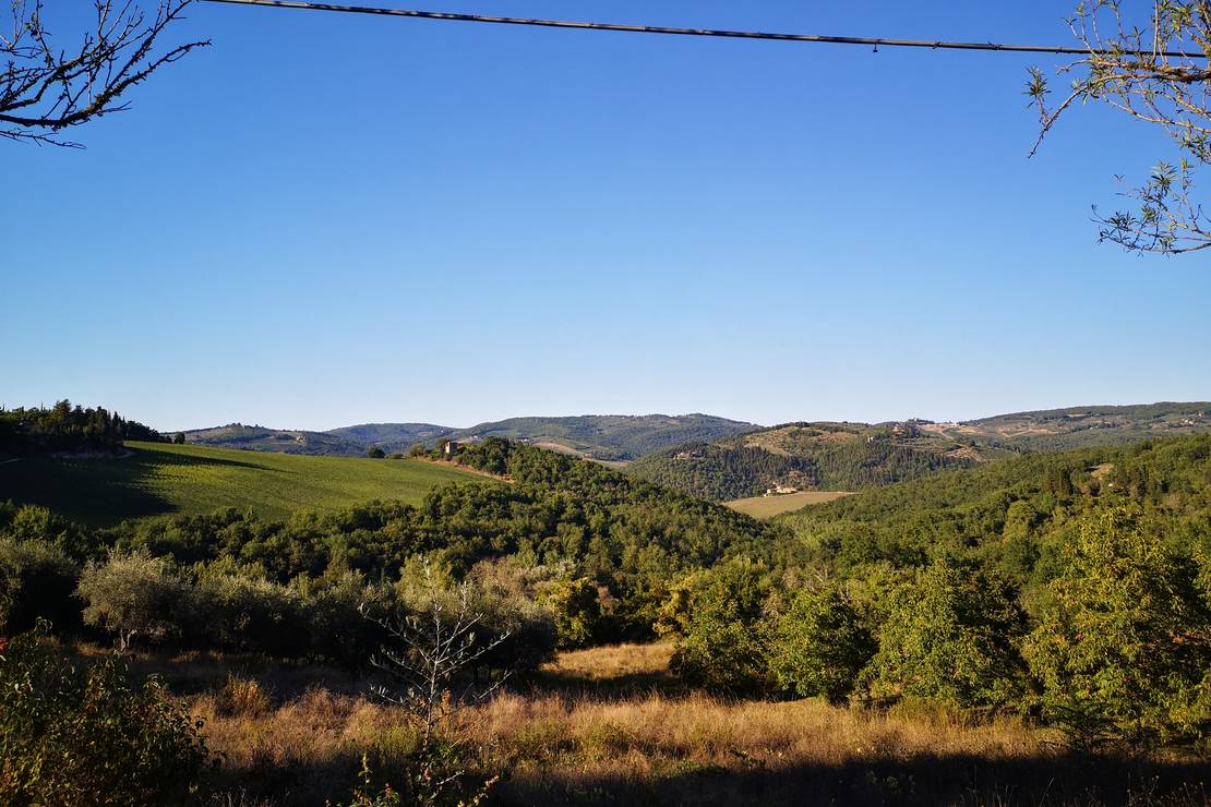 Agricamping L'Apicorno 4