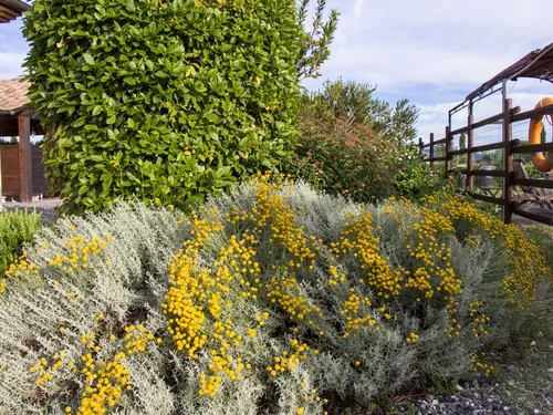 AgriCamping Nonna Stella 7