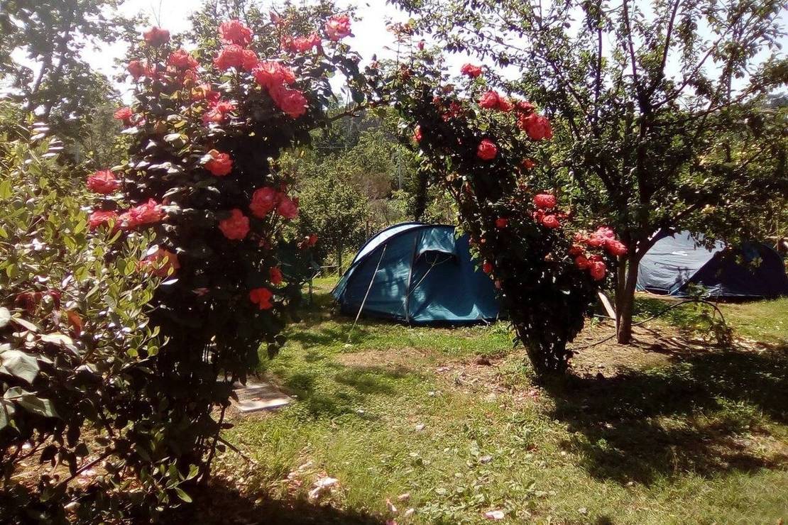 Agricamping Oasi del Belvivere only tents 4