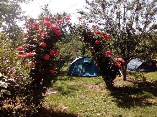 Agricamping Oasi del Belvivere only tents
