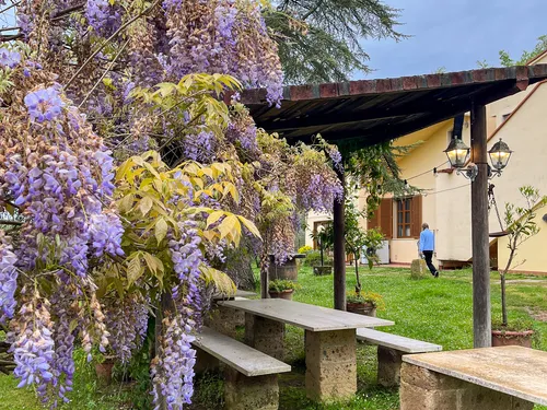 Agricamping Tuscany Time 5