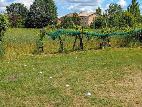 Agricola Giovanardi 3