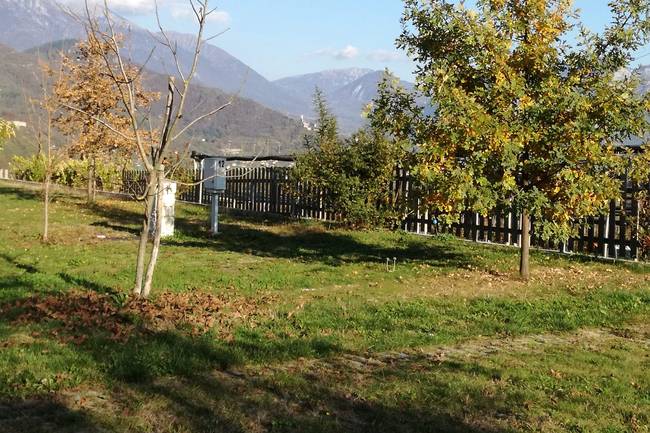 Agriculture in the campsite.