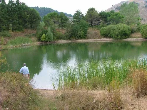 Agriturismo Il Noceto 5