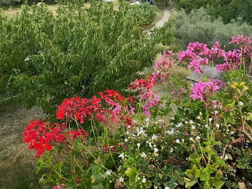 Agriturismo Sopra e Sotto 7