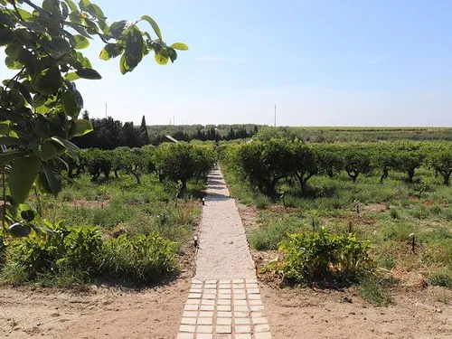 Agriturismo Vultaggio 5