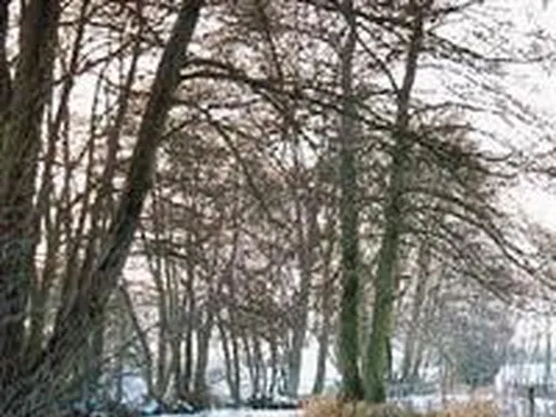 Aire Naturelle De Camping À La Ferme 5