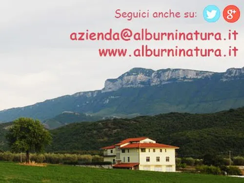 Alburni Natura Agricampeggio 2