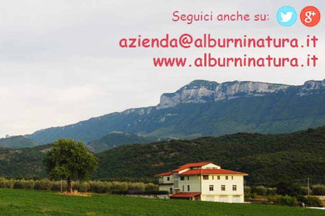 Alburni Natura Agricampeggio 3