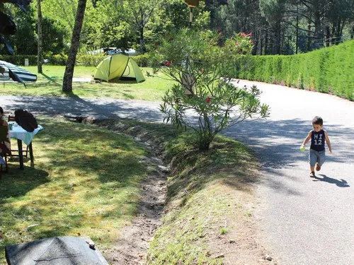 Aldea Guntin- Camping Cañiza 3