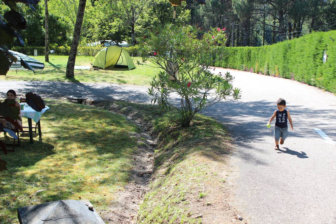 Aldea Guntin- Camping Cañiza 4