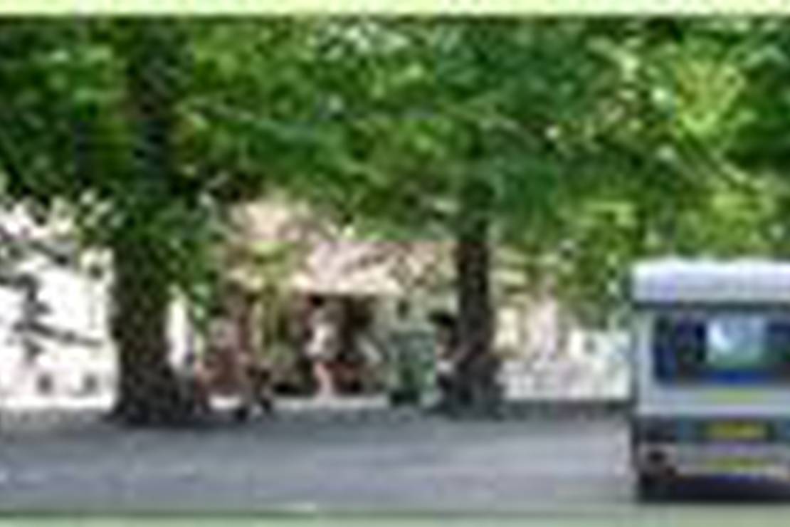 Allurecamping De Zeven Linden 5