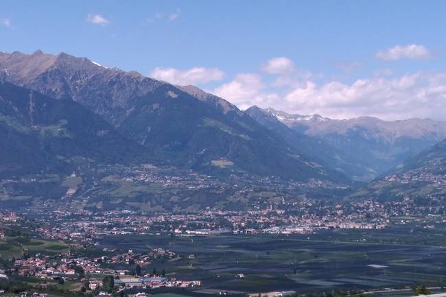 Aussicht auf Meran beim Rundweg