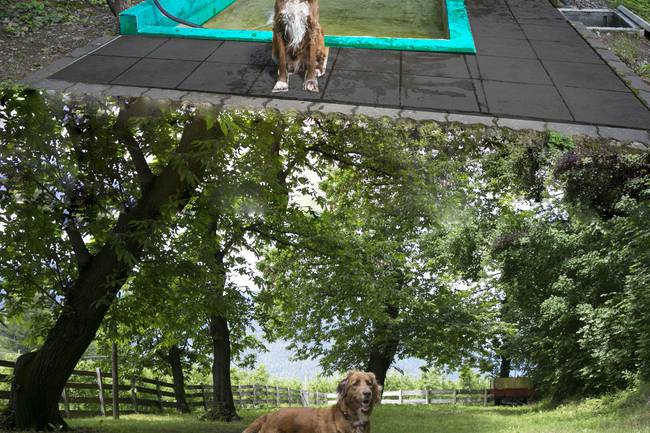 Hundepool farblich etwas von mir geschönt. Hundewiese am Ende des Hundepfades.