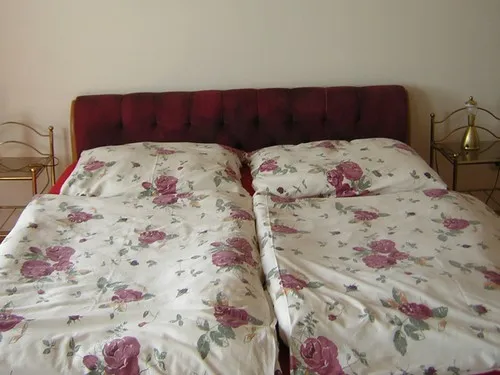 Alsana Camping - Ferienhaus 5