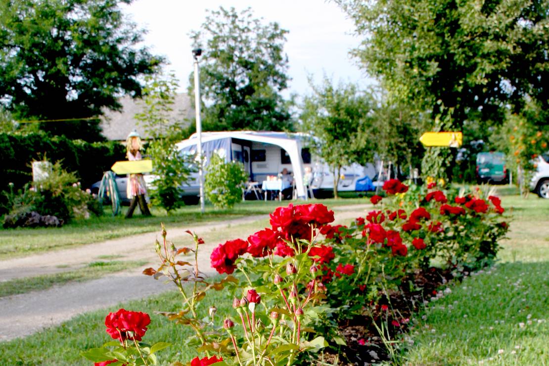 Alsana Camping - Ferienhaus 4