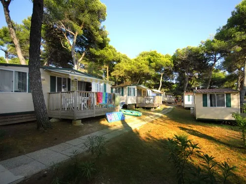 Arena Indije Campsite 7