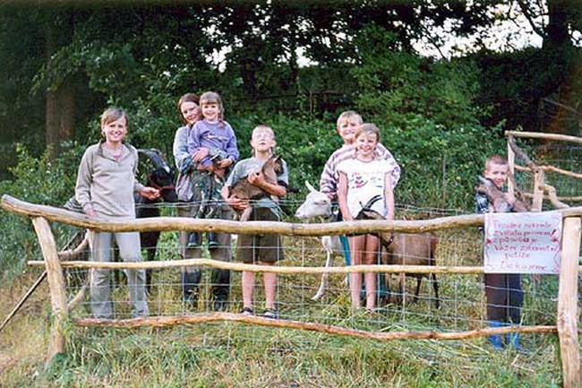 Autocamp Tábořiště Svitačka image 1