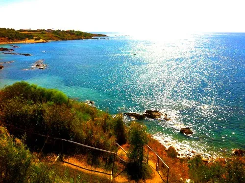 Azienda Agrituristica Torre Scifo 5