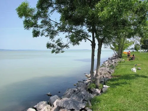 Balatontourist Vadvirág Camping&Bungalows 8