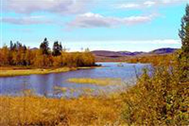 Beitostølen Camping image 1