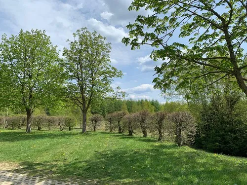 Berghotel Drei Brüder Höhe 3