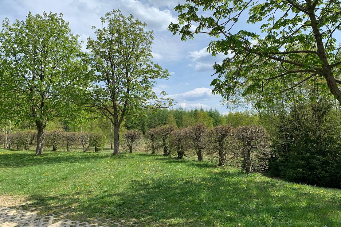 Berghotel Drei Brüder Höhe 4