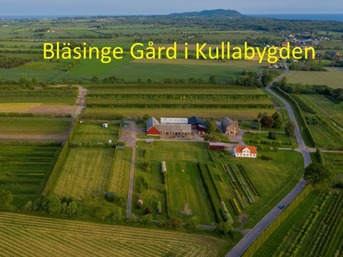 Bläsinge Gård Kullabygden image 1