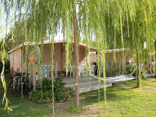 Blu International Camping Club 6