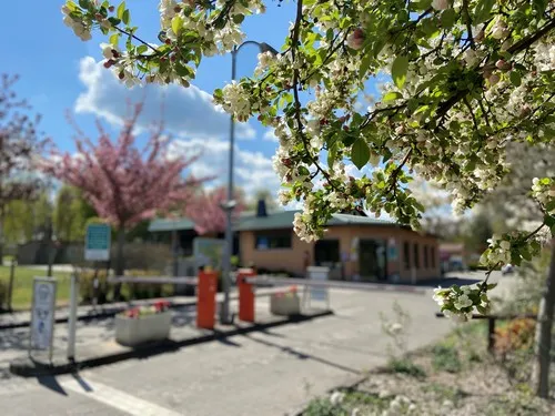 Blütencamping Riegelspitze 9