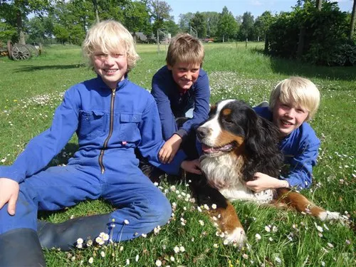 Boerderij camping De Wezel 5