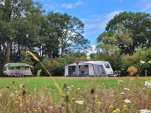 Camping Schoneveld 3