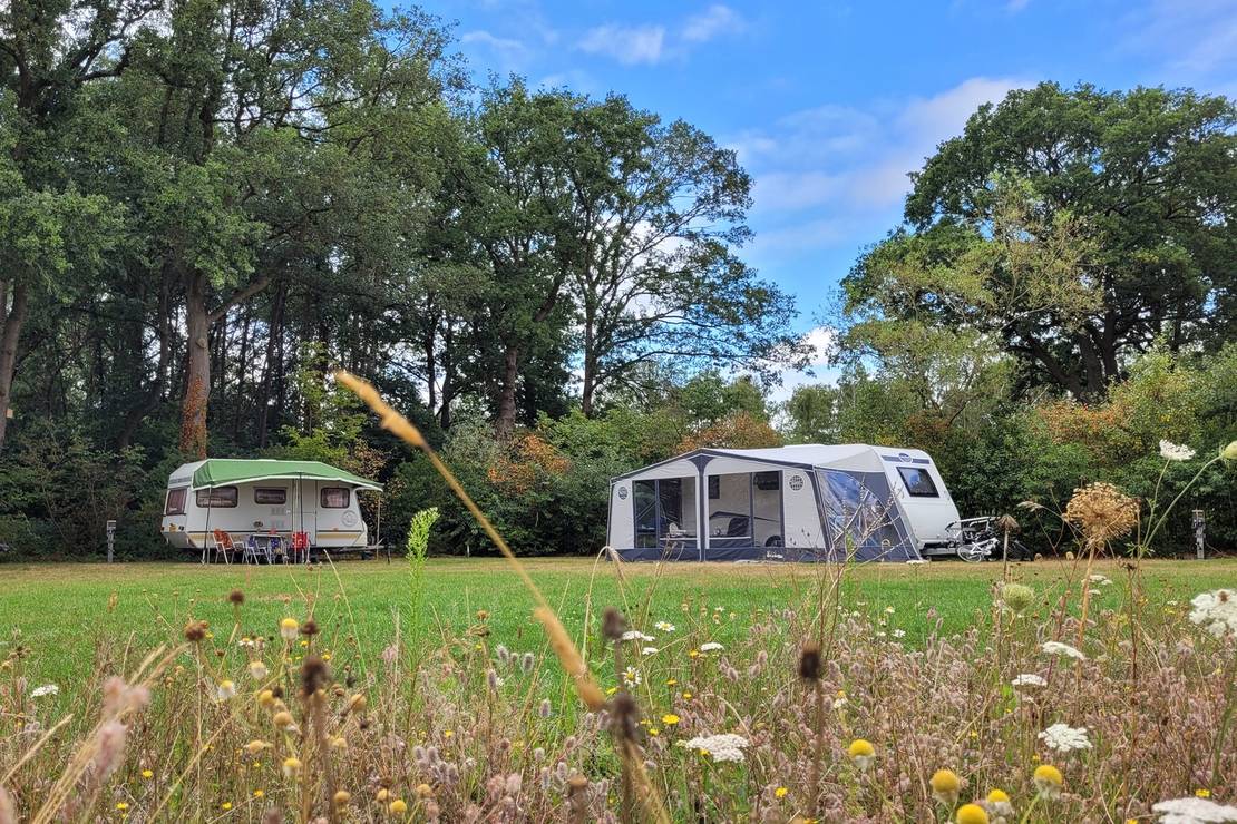 Camping Schoneveld 4