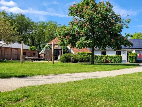 Camping Schoneveld 5