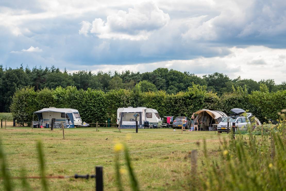 Boerderijcamping Het Varsenerveld 5