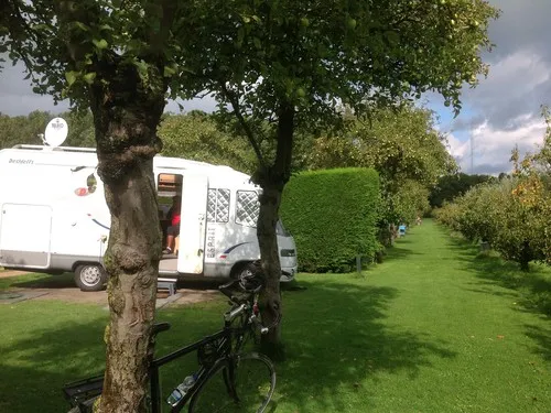 Boomgaardcamping DuinRand 8