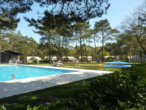 Bos Park Bilthoven 5