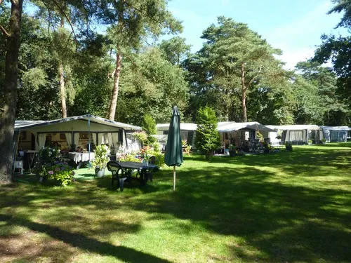 Bos Park Bilthoven 3