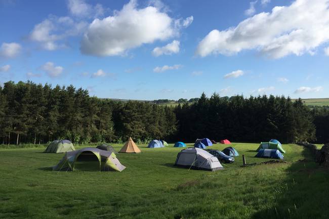The Camping field