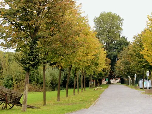 Camping- und Wochenendpark Brinkmann´s Hof 5