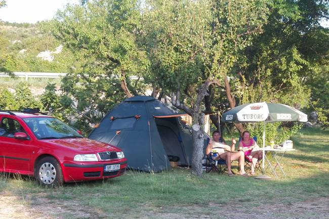 Budima Camping image 1