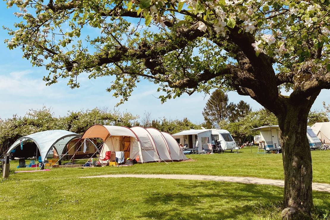 Buitengoed de Boomgaard 7