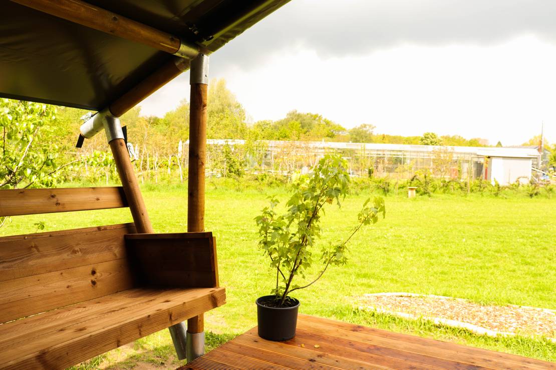 campingplatz-buitenpost-in-gelderland-camping-info