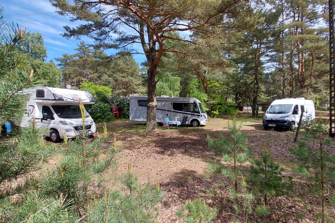 Camp Bursztynowy Las 4