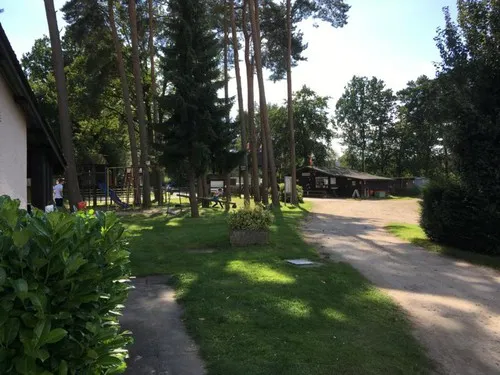 Camp am Waldesrand 5